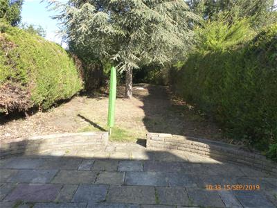Picture 12